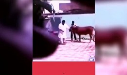 搞笑爆料视频大全,笑点满满，欢乐无限